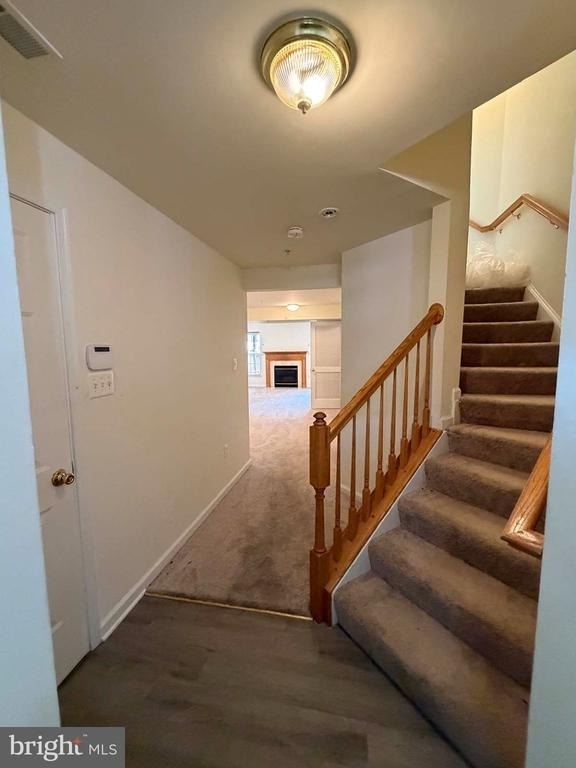 1707 Peach Blossom Court - Photo 1