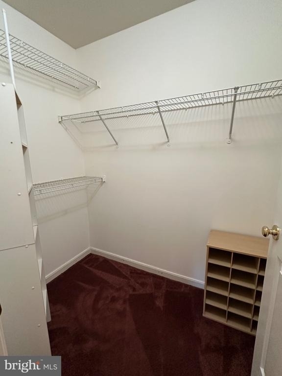 11808 Eton Manor Drive - Photo 16