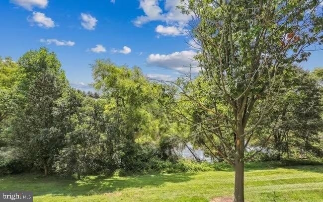 11808 Eton Manor Drive - Photo 21