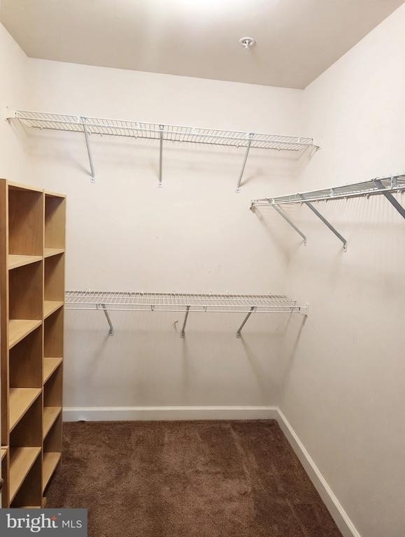 11808 Eton Manor Drive - Photo 17