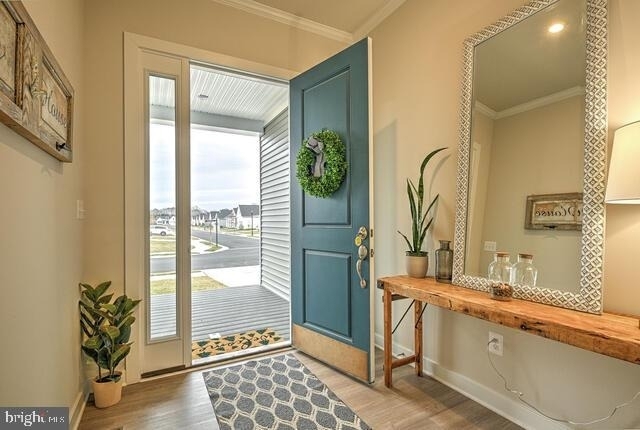 33910 Bridget Lane - Photo 1