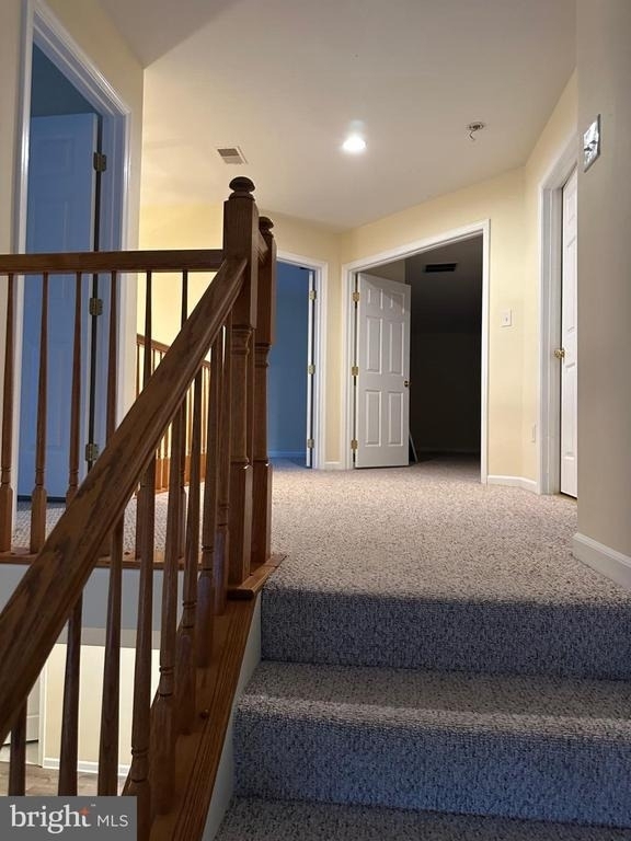 2810 Videre Drive - Photo 13