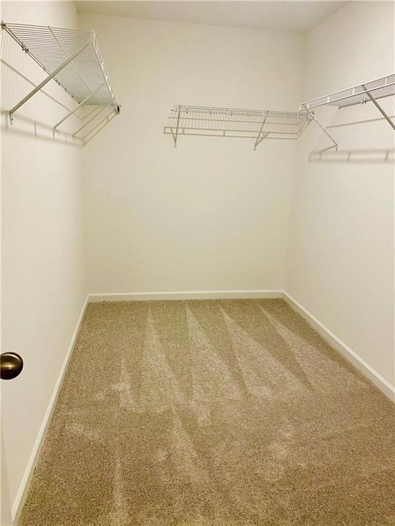 3102 Brockenhurst Drive - Photo 8