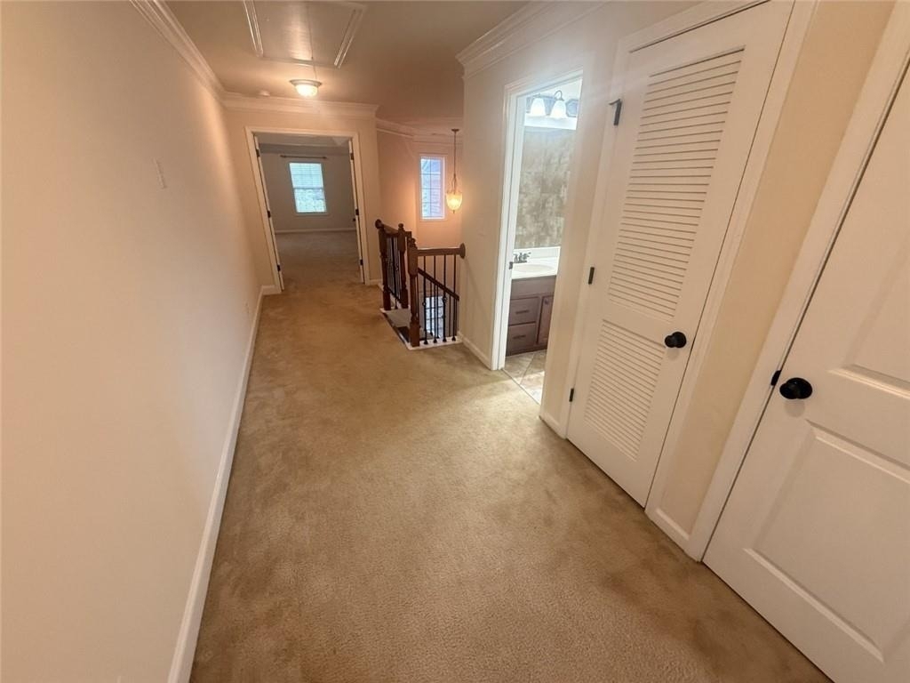 13276 Warrensville Cove - Photo 24
