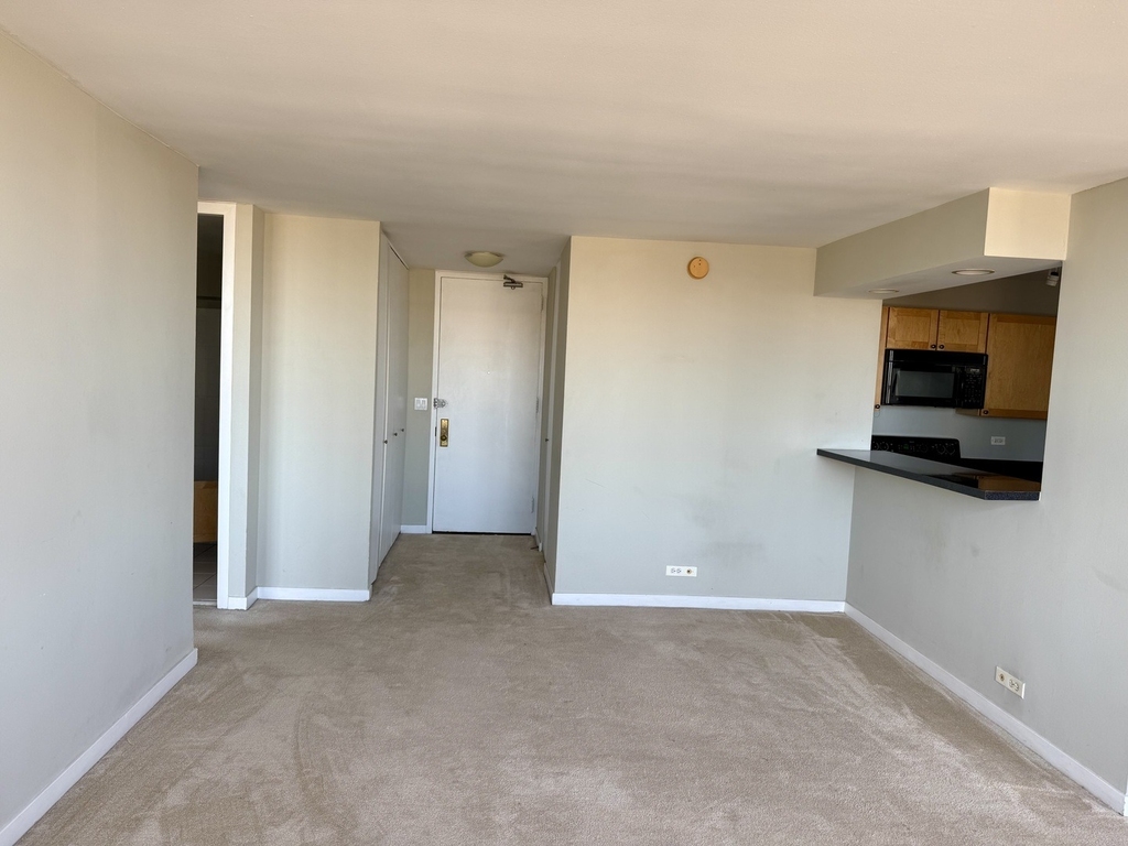 655 W Irving Park Road - Photo 4
