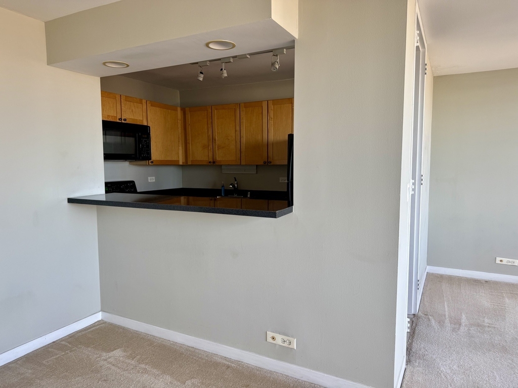 655 W Irving Park Road - Photo 6