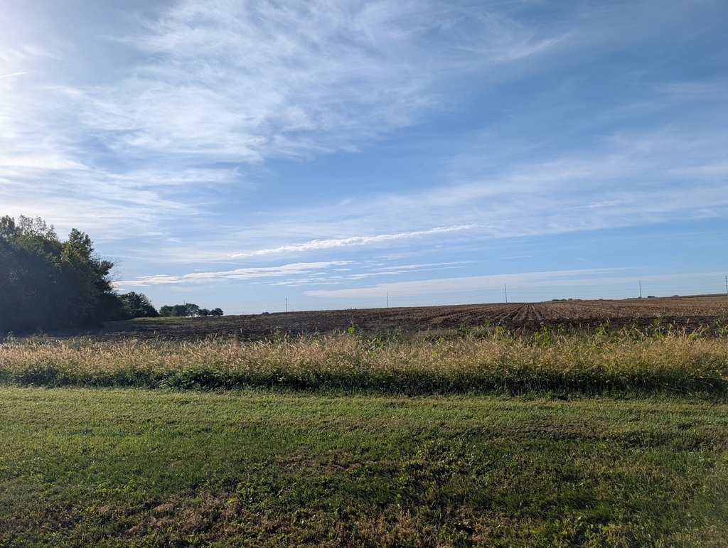 2643 N Il Route 178 Highway - Photo 40