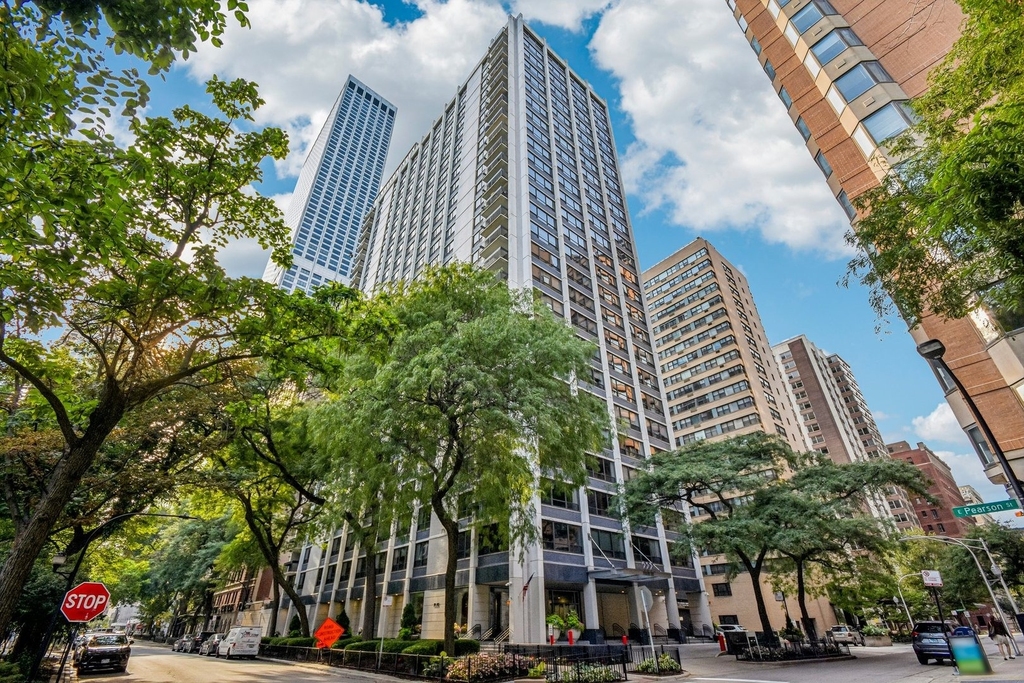222 E Pearson Street - Photo 0