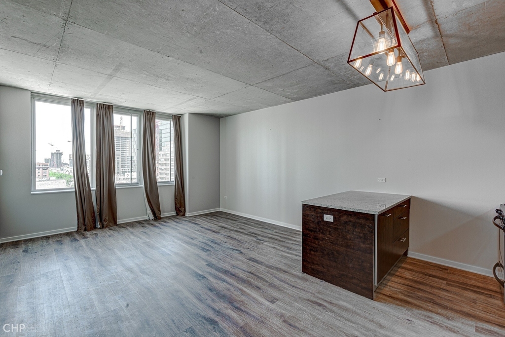 659 W Randolph Street - Photo 9