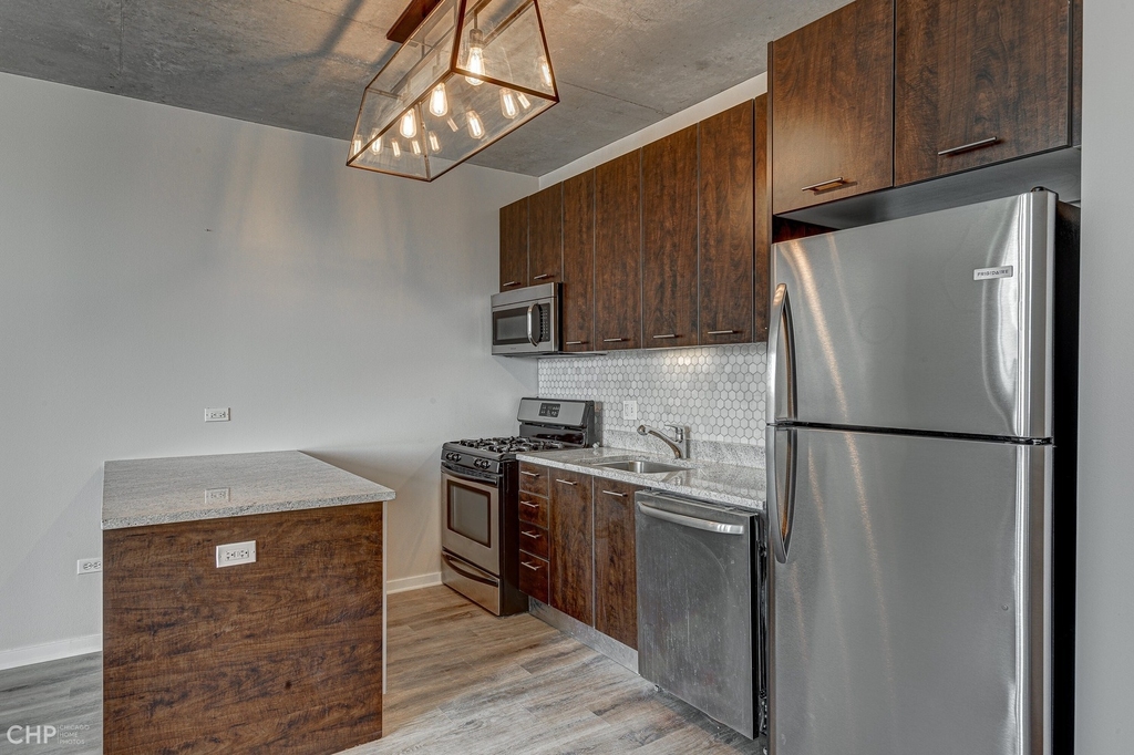 659 W Randolph Street - Photo 8