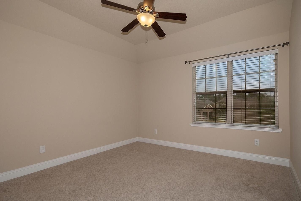 43 Butternut Grove Place - Photo 22