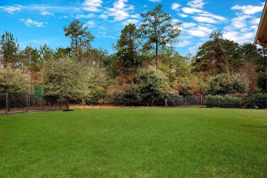 43 Butternut Grove Place - Photo 25