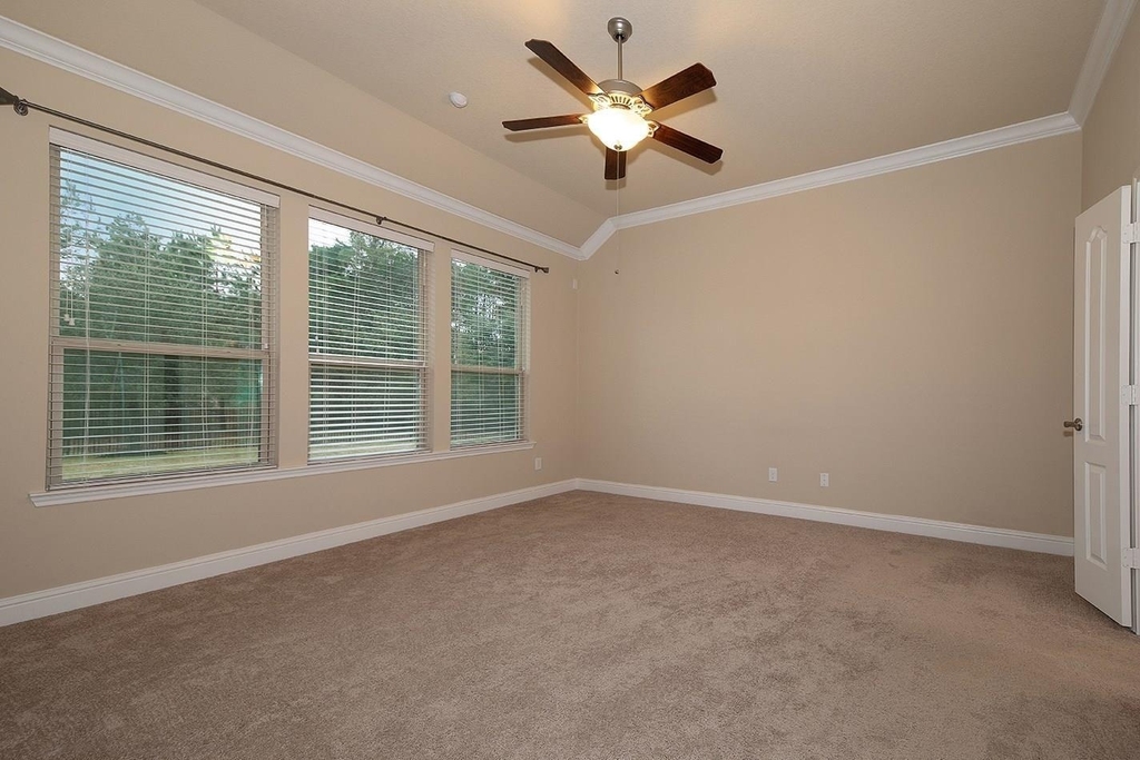 43 Butternut Grove Place - Photo 20