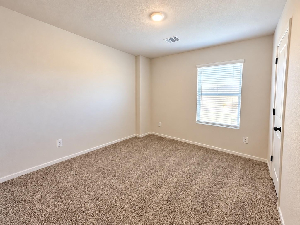 22015 Messina Springs Drive - Photo 15