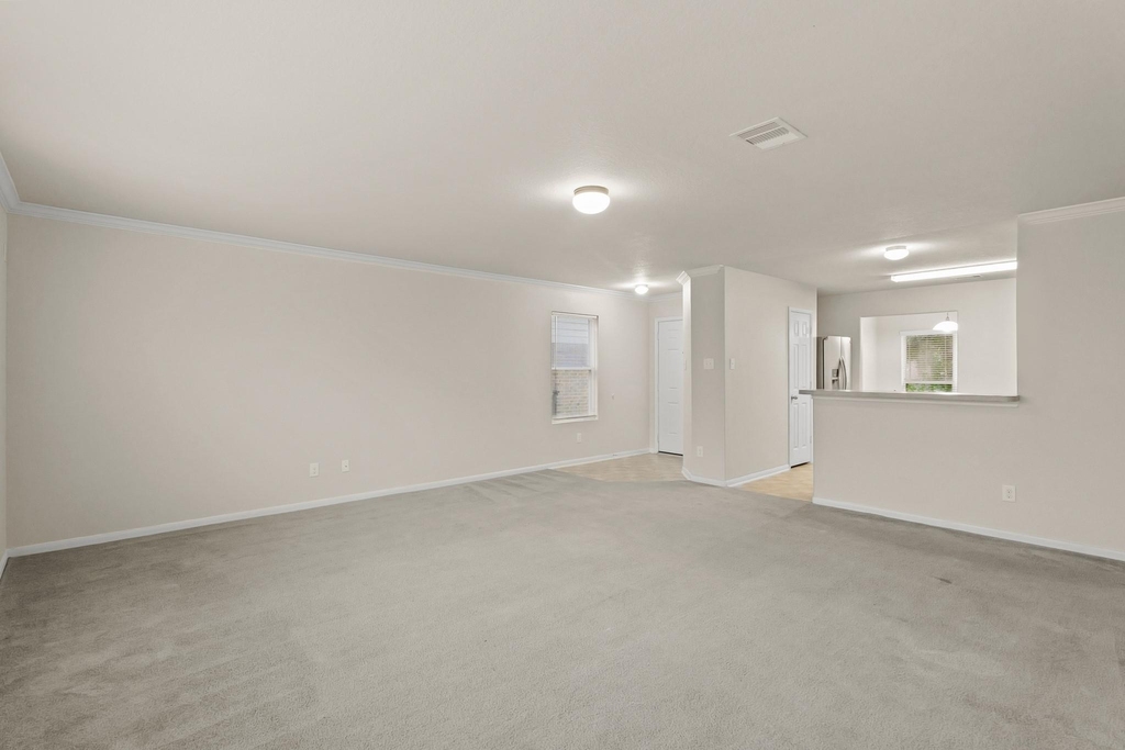 16799 Blackberry Lily Lane - Photo 10