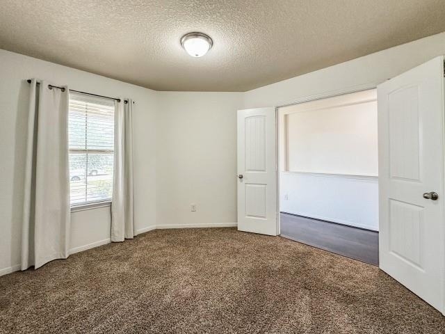 29015 Jacobs River Dr - Photo 29