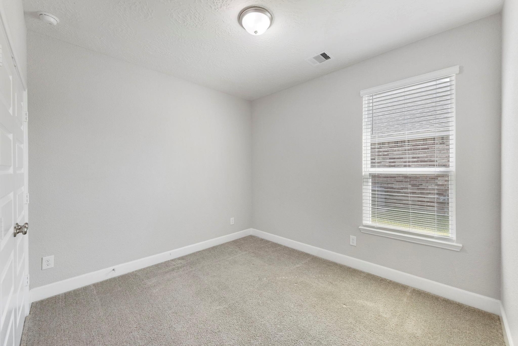 8731 Ute Creek Lane - Photo 20