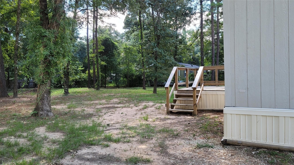 23807 Brushy Oaks Street - Photo 2