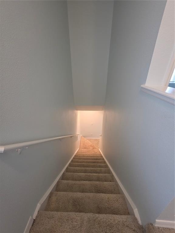 12226 Foxmoor Peak Drive - Photo 9