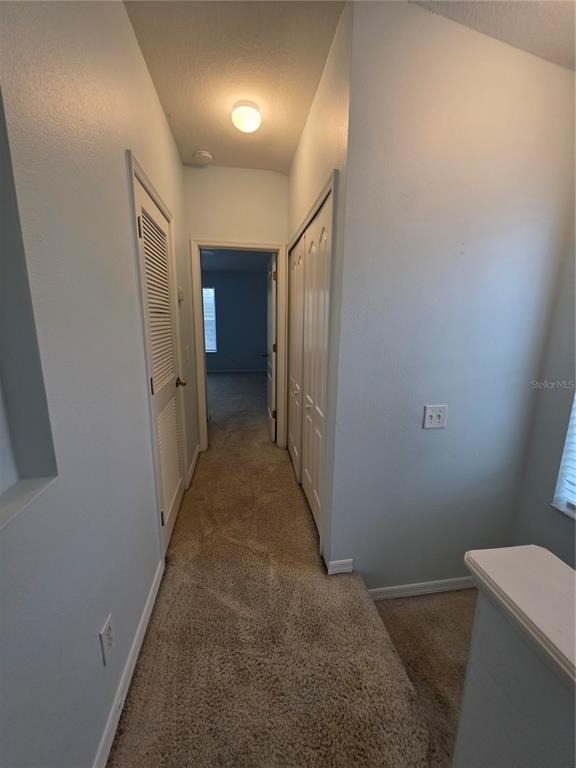 12226 Foxmoor Peak Drive - Photo 19