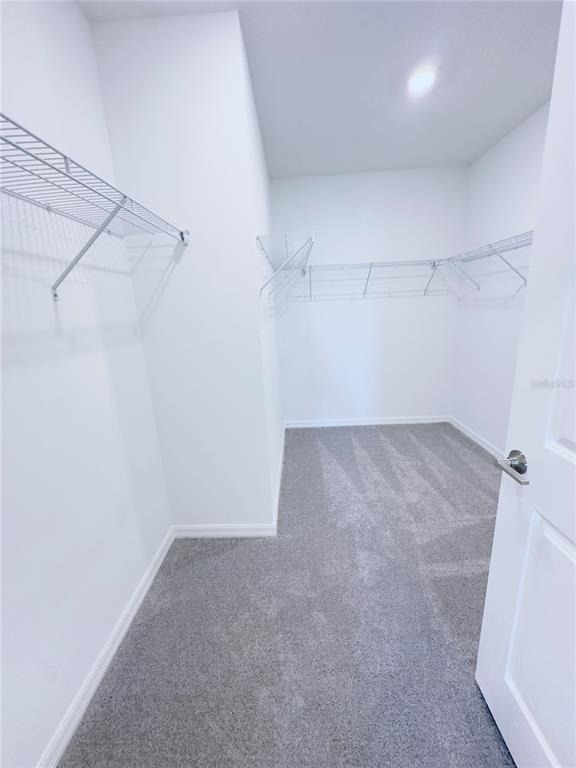 11773 Radiant Shore Loop - Photo 13
