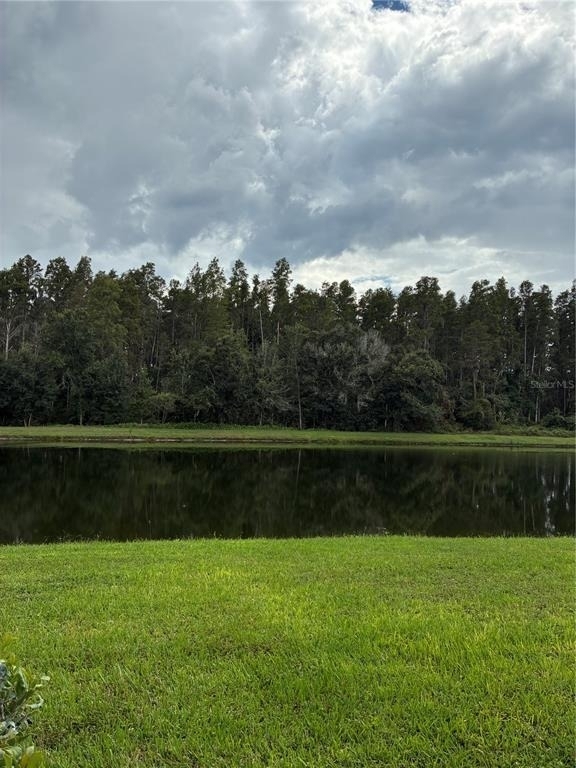 31142 Flannery Court - Photo 37