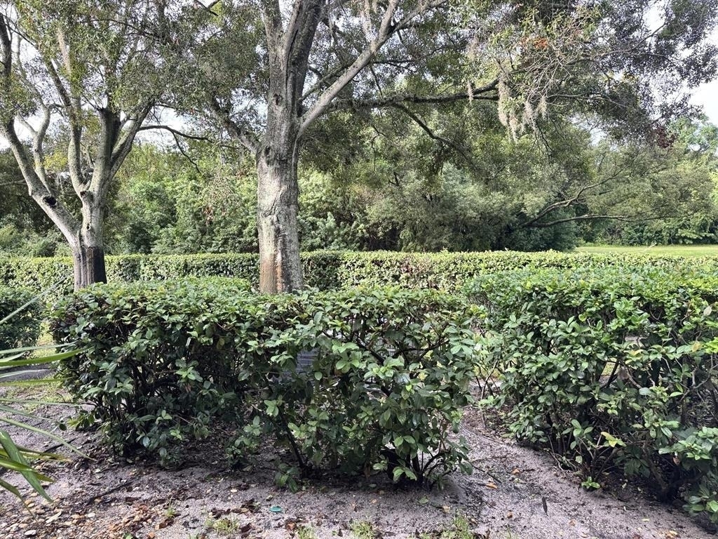 3151 Landmark Boulevard - Photo 19