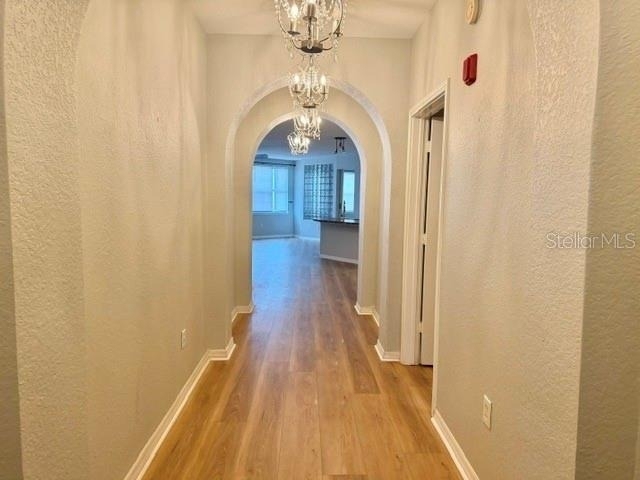 911 N Orange Avenue - Photo 5