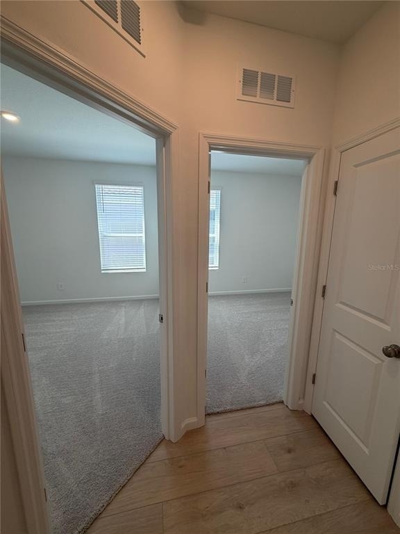 5525 Morant Bay Path - Photo 12