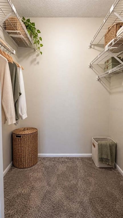 744 Spring West Road - Photo 6