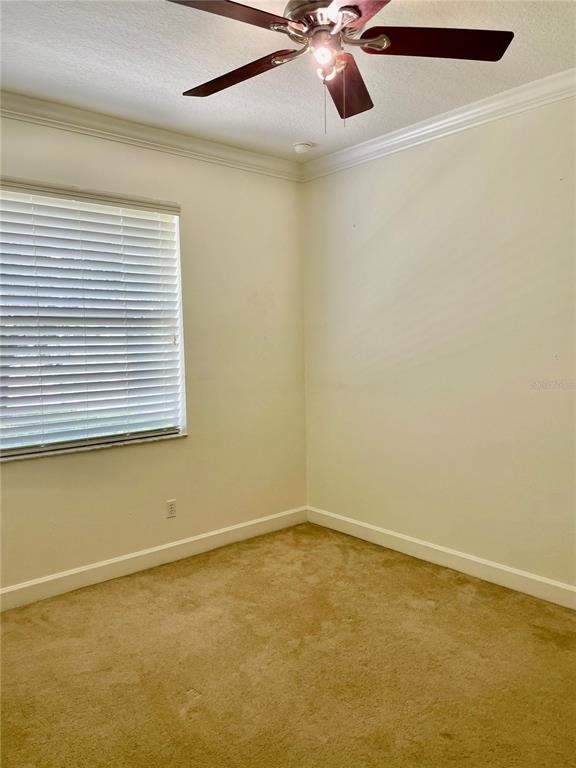 3647 Hollywood Place - Photo 22