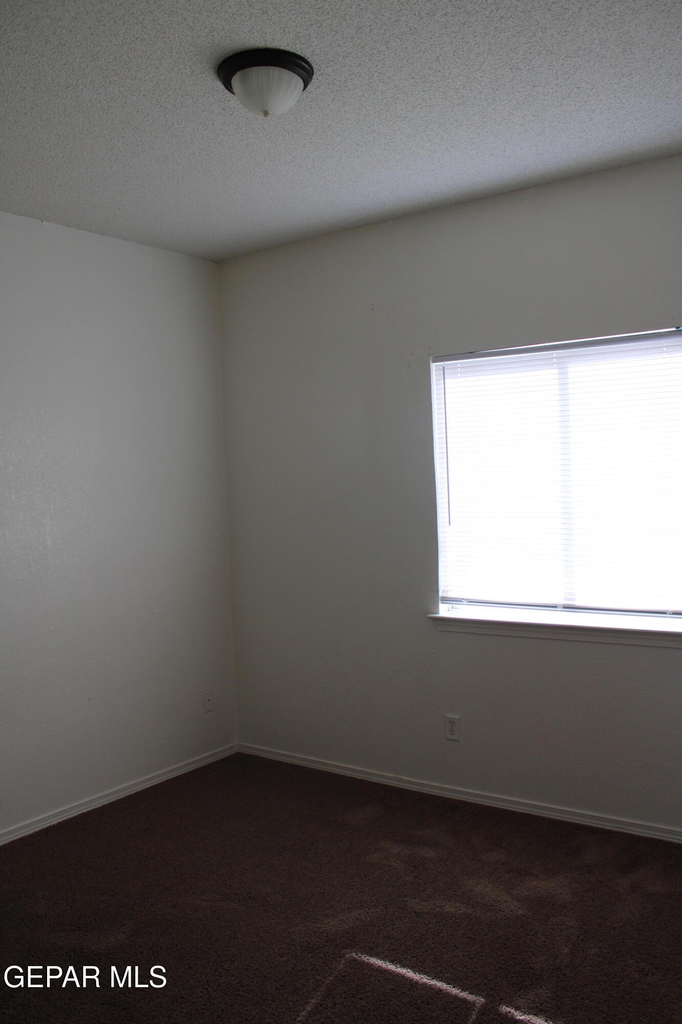 10937 Cattle Ranch Street - Photo 13