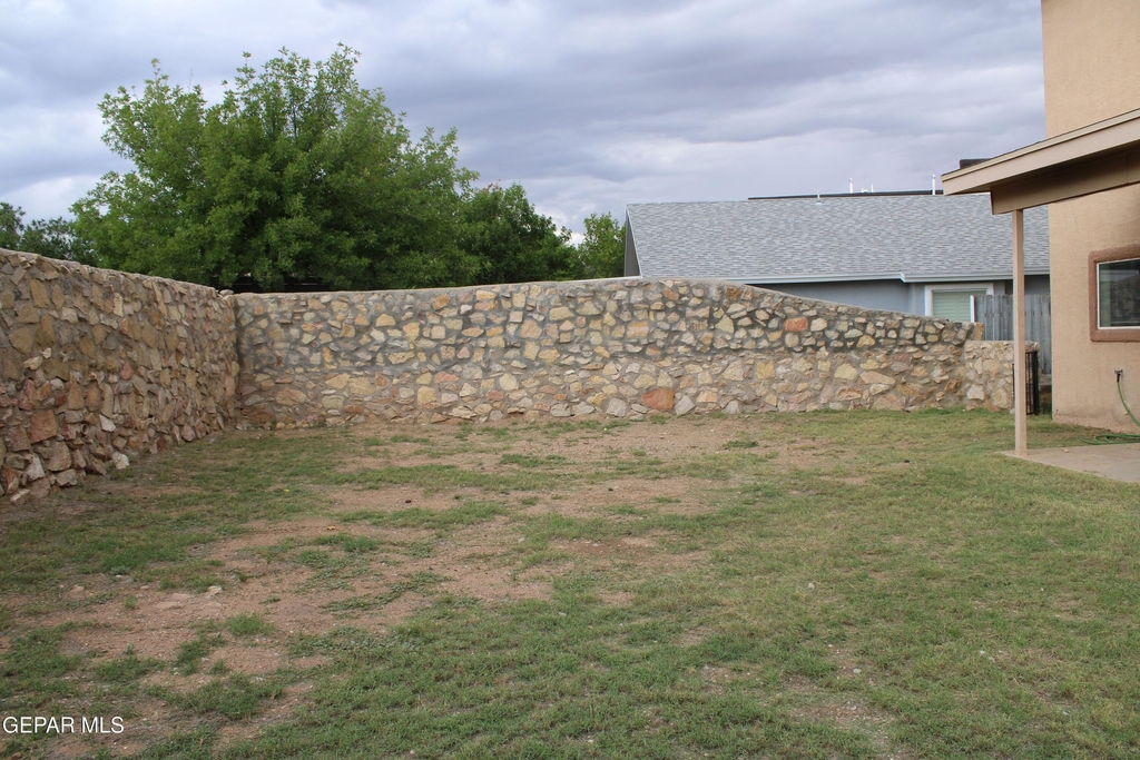 10937 Cattle Ranch Street - Photo 31
