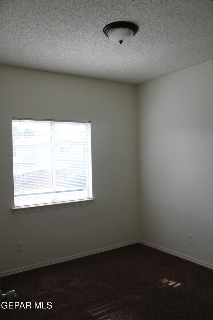 10937 Cattle Ranch Street - Photo 15