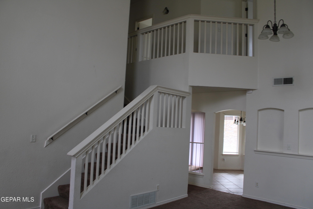 10937 Cattle Ranch Street - Photo 12