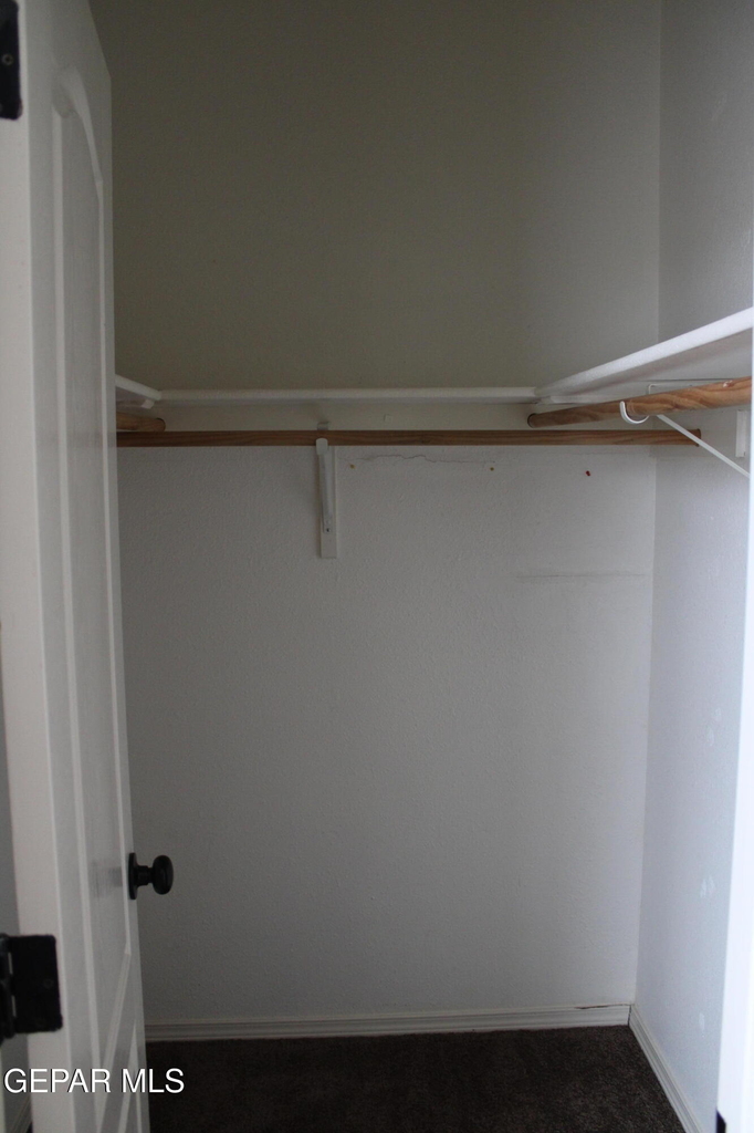 10937 Cattle Ranch Street - Photo 22