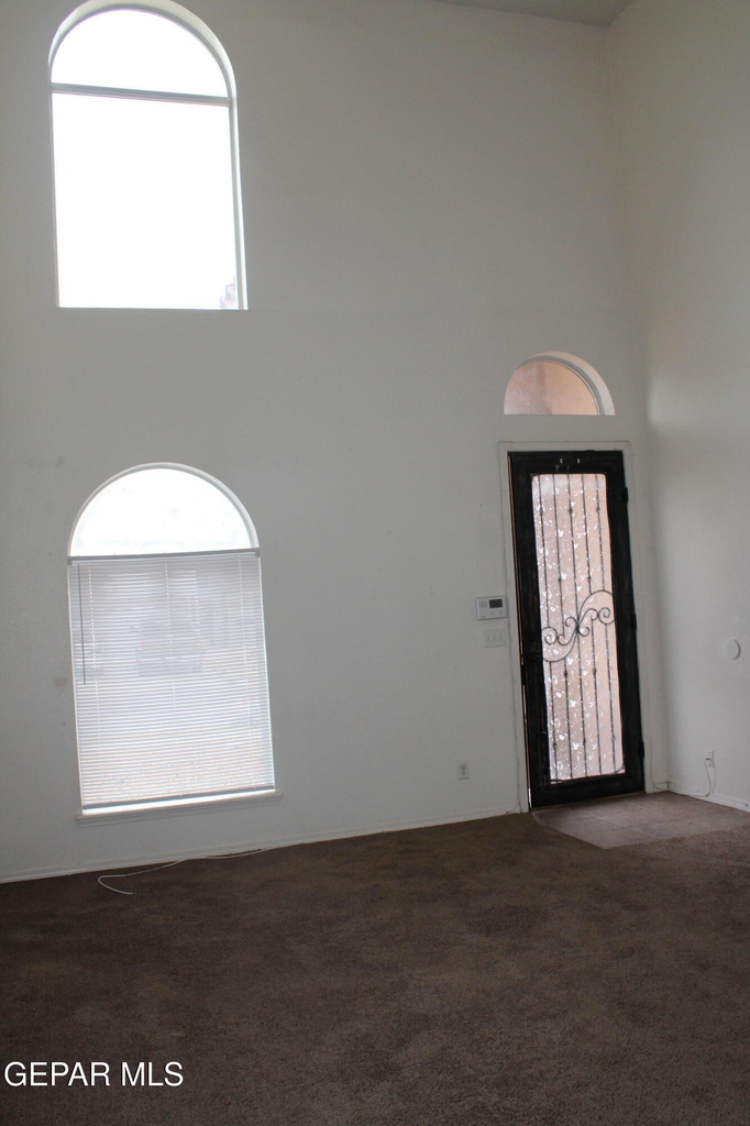 10937 Cattle Ranch Street - Photo 4