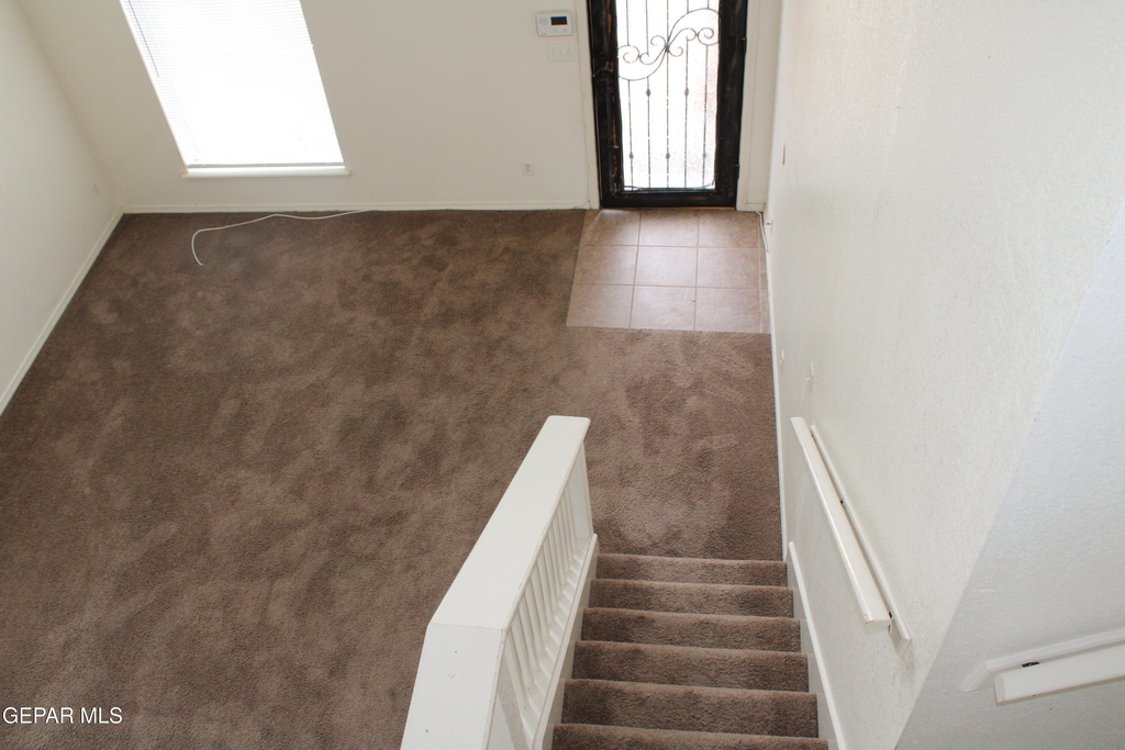 10937 Cattle Ranch Street - Photo 5