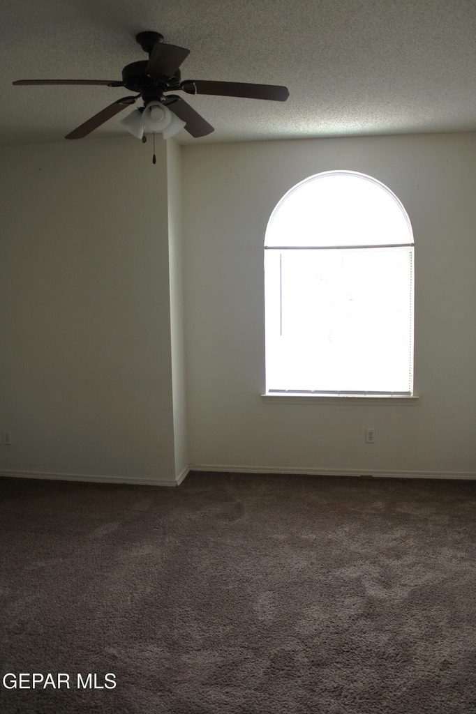 10937 Cattle Ranch Street - Photo 21