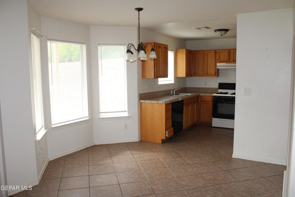 10937 Cattle Ranch Street - Photo 8