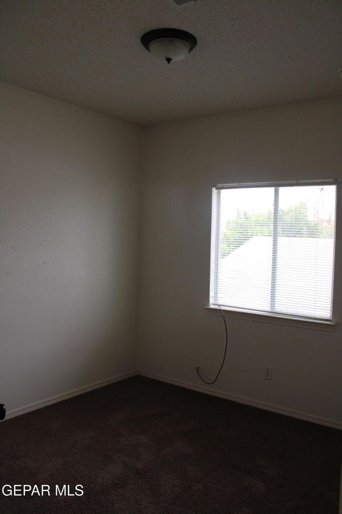 10937 Cattle Ranch Street - Photo 17