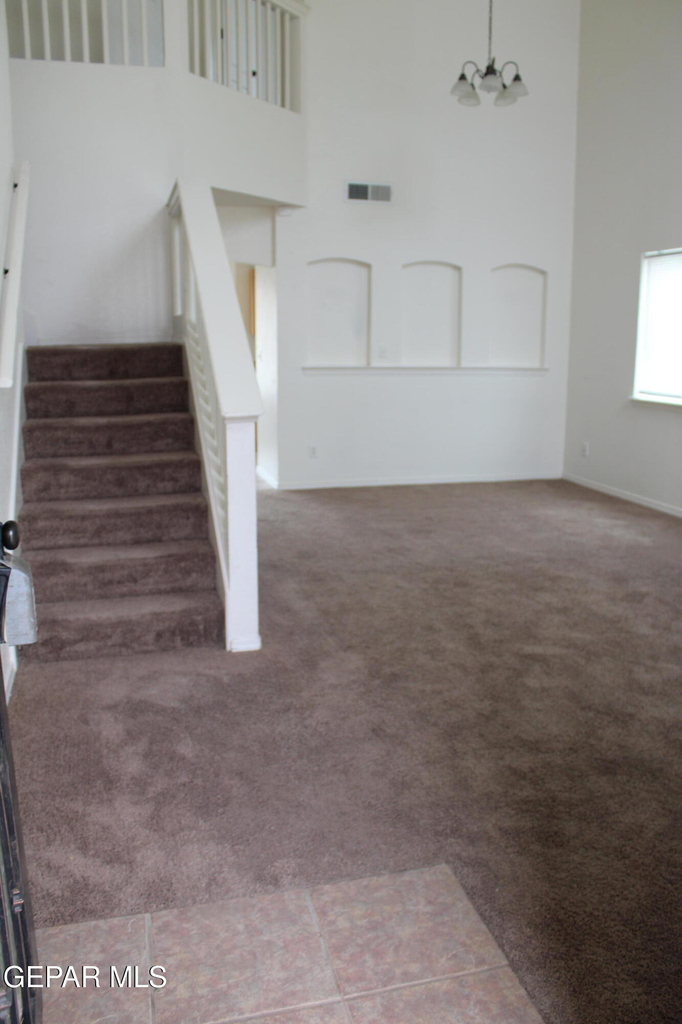 10937 Cattle Ranch Street - Photo 1