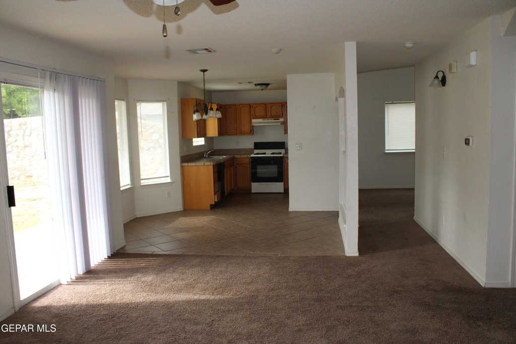 10937 Cattle Ranch Street - Photo 7