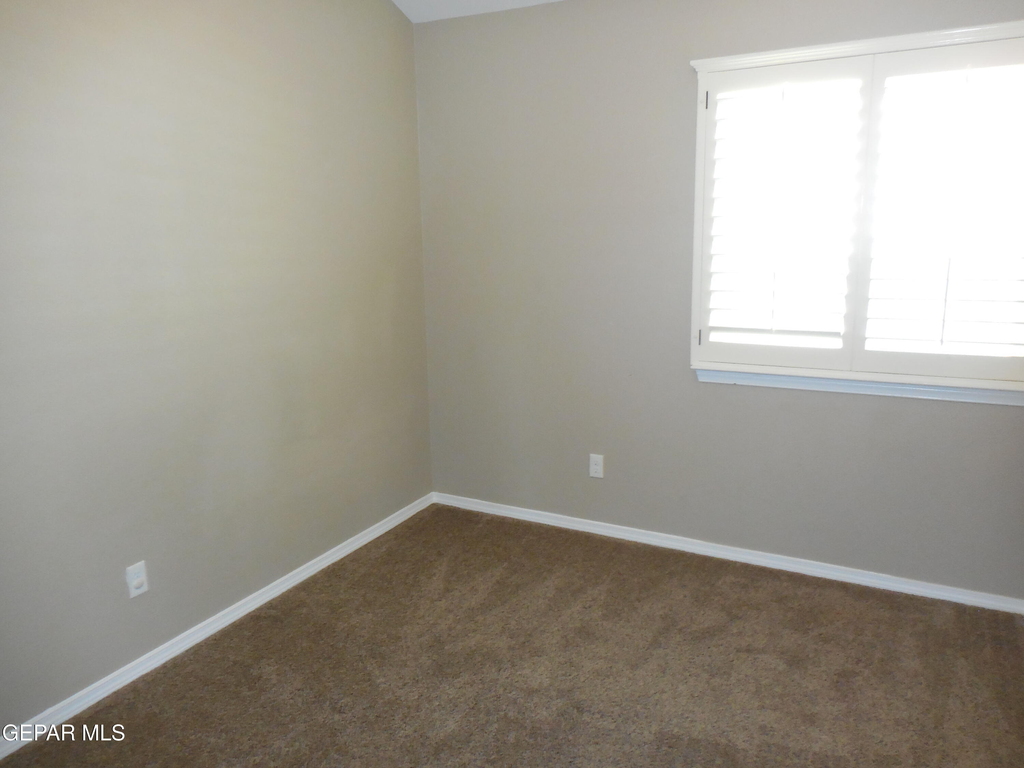 917 Jimson Weed Drive - Photo 23