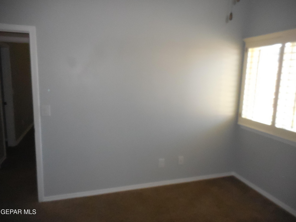 917 Jimson Weed Drive - Photo 24