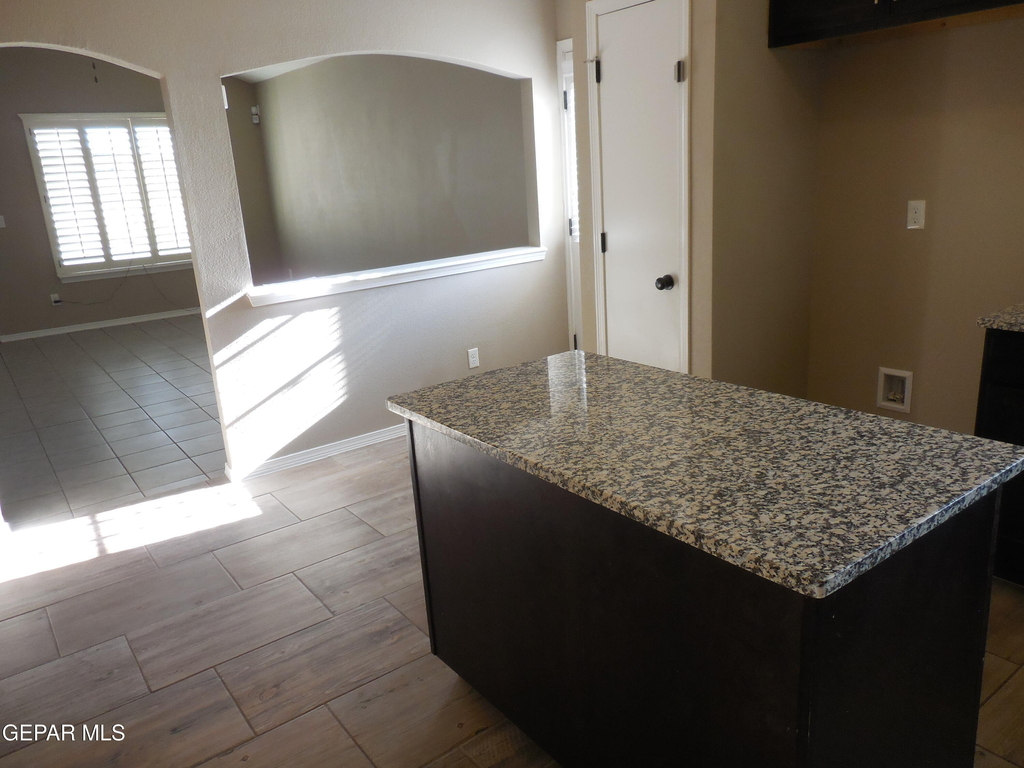 917 Jimson Weed Drive - Photo 9