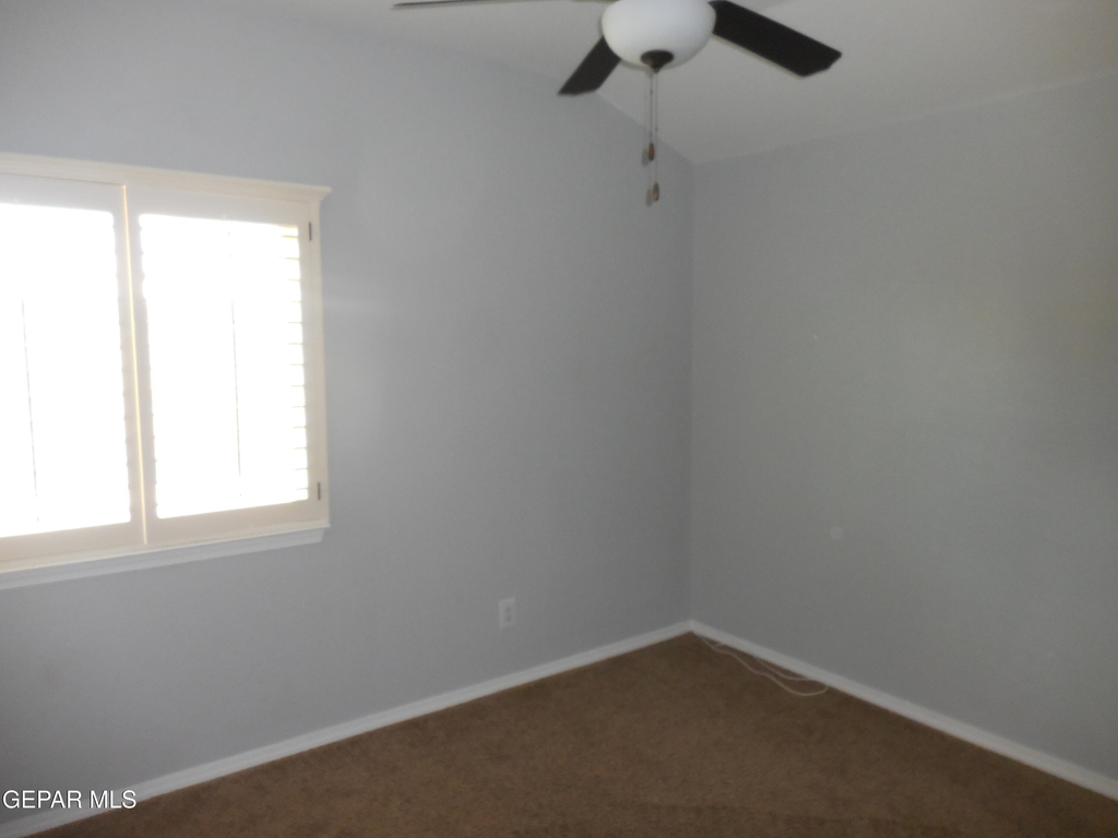 917 Jimson Weed Drive - Photo 26
