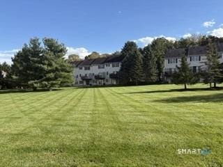905 Larson Drive - Photo 6