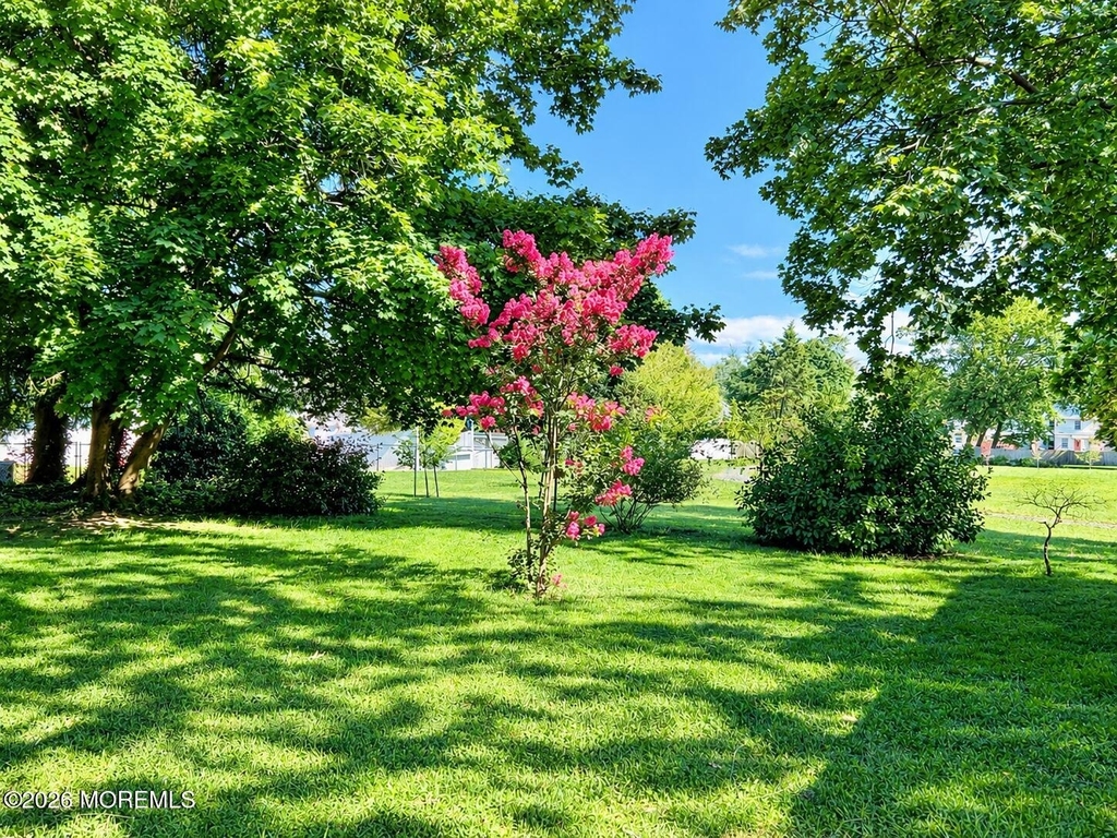 39 Hamilton Street - Photo 12