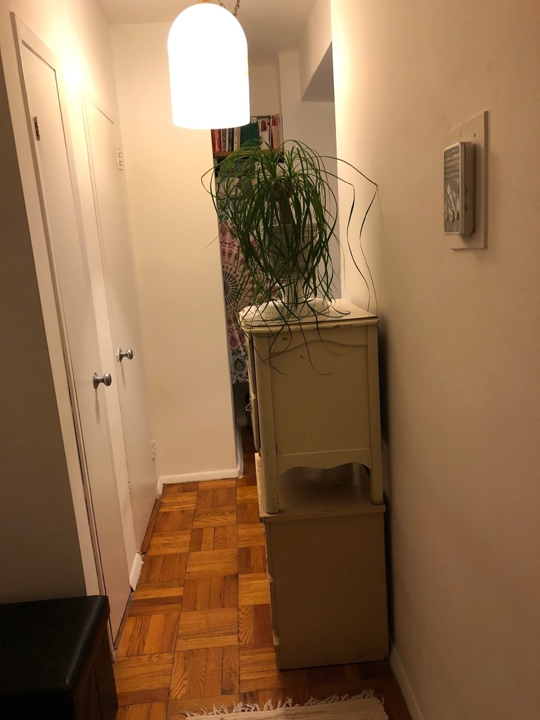 345 West 145th Street - Photo 3